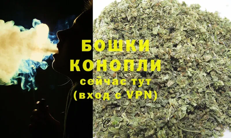 Каннабис OG Kush  Правдинск 